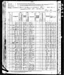 Riley, James William - Census 1880